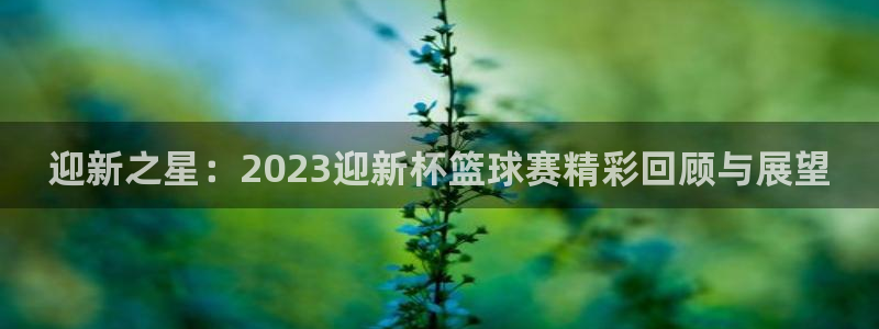  意昂官网注册平台：迎新之星：2023迎新杯篮球赛精彩回顾与展
