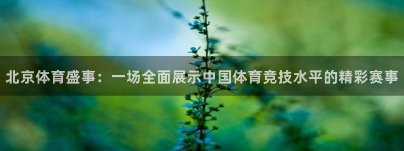 意昂体育app官方网站入口下载：北京