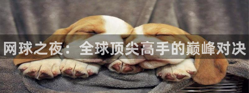 意昂平台官网：网球之夜：全球顶尖高手的巅峰对决
