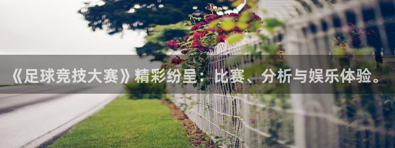  意昂注册：《足球竞技大赛》精彩纷呈：比赛、分析与娱乐体验。