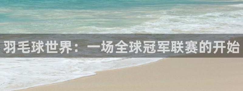 意昂官网入口登录：羽毛球世界：一场全