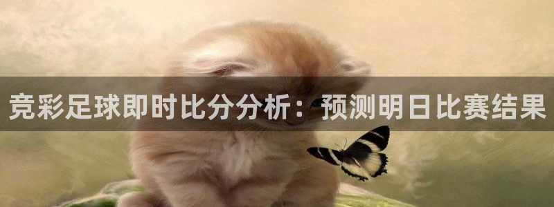 意昂平台登录入口最新版本介绍：竞彩足
