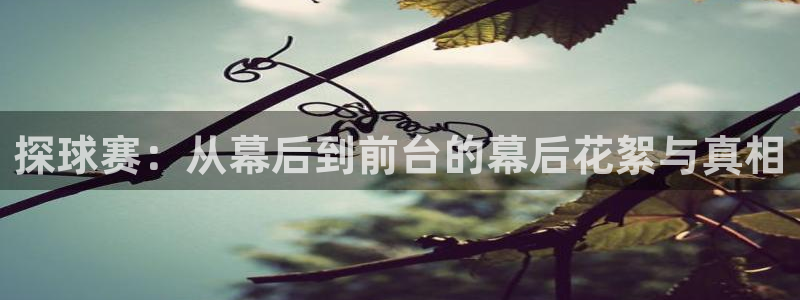 意昂体育app官方下载安装：探球赛：从幕后到前台的幕后花絮与