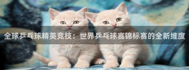 意昂平台app官方下载：全球乒乓球精英竞技：世界乒乓球赛锦标