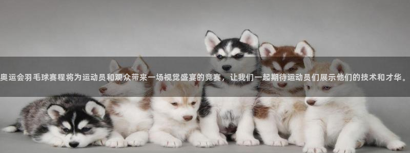 意昂官网入口登录：奥运会羽毛球赛程将