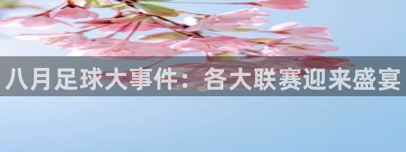  意昂平台登录方法：八月足球大事件：各大联赛迎来盛宴