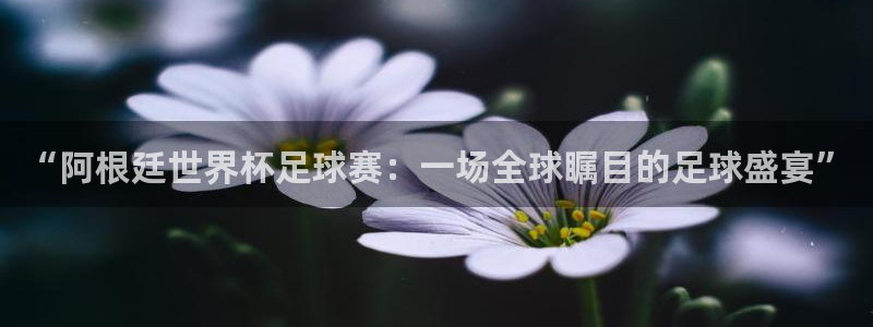  意昂体育app正版下载安装：“阿根廷世界杯足球赛：一场全球瞩