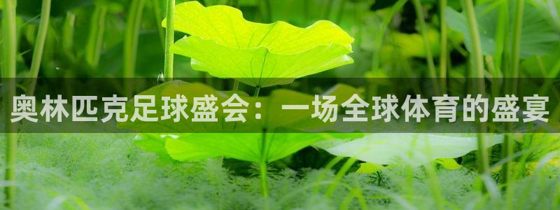  意昂体育app下载安装官网：奥林匹克足球盛会：一场全球体育的