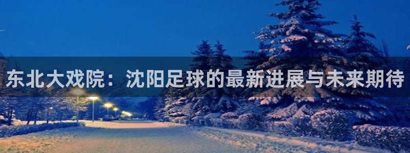 意昂平台app官方下载：东北大戏院：