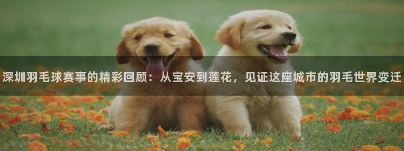 意昂官网注册平台：深圳羽毛球赛事的精