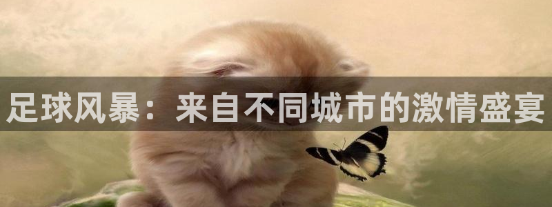 意昂平台登录入口最新版本介绍：足球风