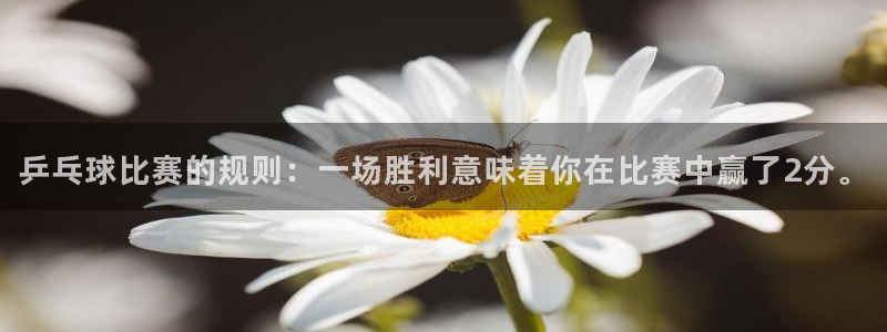 意昂平台登录入口2025：乒乓球比赛