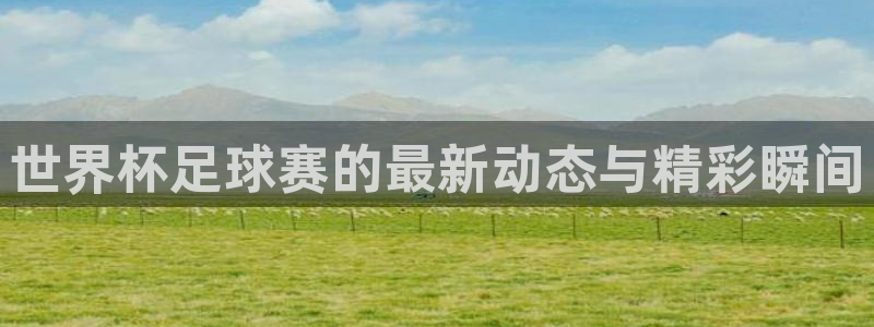  意昂体育app正版下载安装：世界杯足球赛的最新动态与精彩瞬间