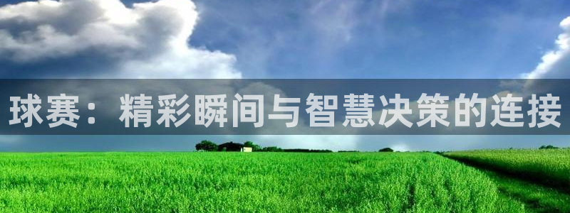  意昂平台登录入口最新版本介绍：球赛：精彩瞬间与智慧决策的连接