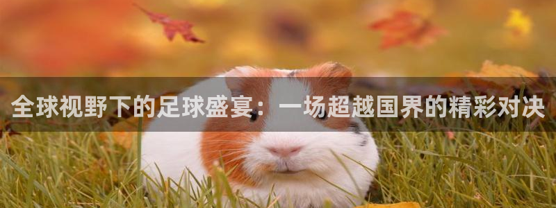意昂体育app官方下载安装：全球视野下的足球盛宴：一场超越国