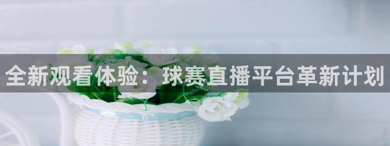  意昂平台app官方下载：全新观看体验：球赛直播平台革新计划