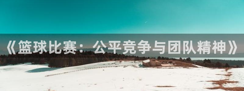  意昂体育网页登录入口入口官网网页版：《篮球比赛：公平竞争与团