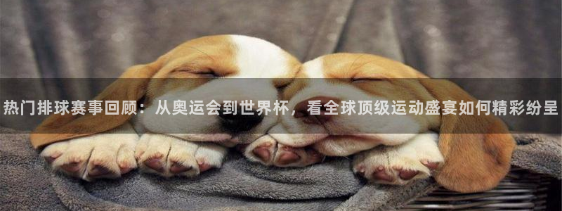  意昂体育是正规平台的吗：热门排球赛事回顾：从奥运会到世界杯，