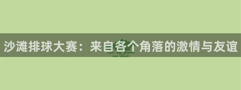 意昂平台登录入口2025：沙滩排球大