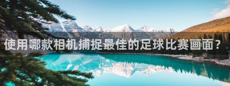 意昂体育是正规平台的吗：使用哪款相机