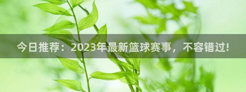  意昂体育官网：今日推荐：2023年最新篮球赛事，不容错过!