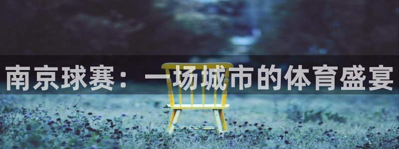  意昂体育是正规平台的吗：南京球赛：一场城市的体育盛宴