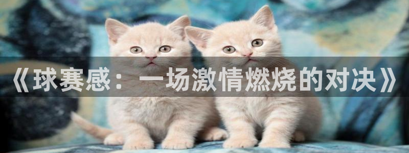 意昂体育app官方下载安装：《球赛感