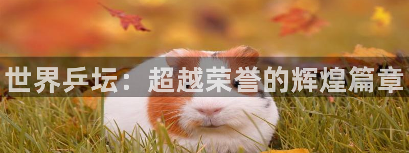 意昂注册：世界乒坛：超越荣誉的辉煌篇章