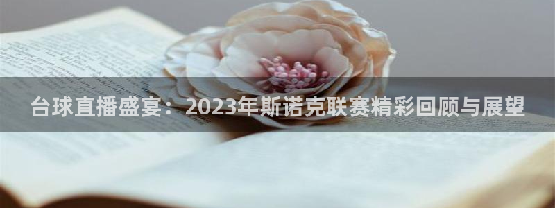 绿茵体育app下载：台球直播盛宴：2023年斯诺克联赛精彩回顾与展望