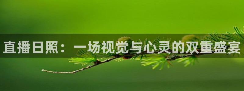 绿茵篮球直播在线观看：直播日照：一场视觉与心灵的双重盛宴