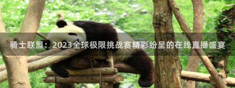绿茵直播足球直播网：骑士联盟：2023全球极限挑战赛精彩纷呈的在线直播盛宴