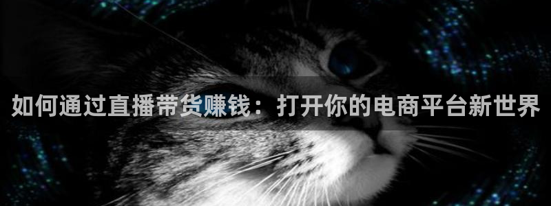 绿茵足球直播晚晚：如何通过直播带货赚钱：打开你的电商平台新世界