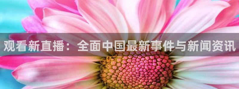 绿茵直播体育免费直播：观看新直播：全面中国最新事件与新闻资讯