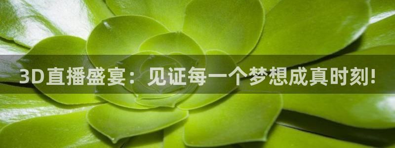绿茵直播体育免费观看lyzb：3D直播盛宴：见证每一个梦想成真时刻!