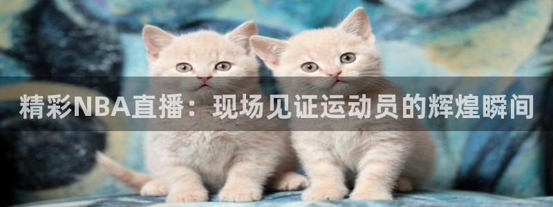 绿茵直播球赛在线观看：精彩NBA直播：现场见证运动员的辉煌瞬间