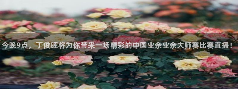 绿茵直播体育nba送红红单v2.红单足球.top：今晚9点，丁俊晖将为你带来一场精彩的中国业余业余大师赛比赛直播！